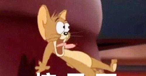 kpl最新爆料jdg,JDG战队神秘新动向，揭秘电竞豪门新篇章