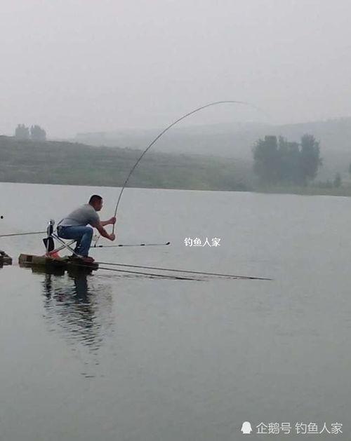 钓鱼人爆料最新,最新钓鱼技巧与心得分享