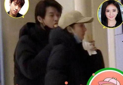 魏大勋杨幂最新爆料,揭秘幕后故事与情感纠葛