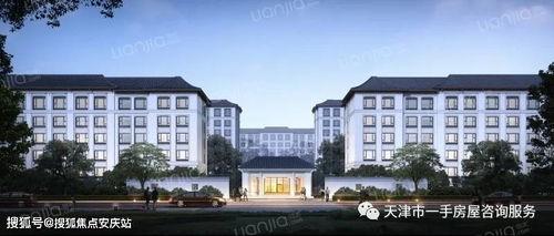 武汉桃李春风最新爆料,揭秘项目神秘面纱背后的惊喜与挑战