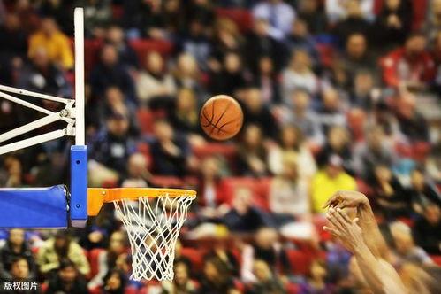怎么看nba最新爆料,揭秘赛场背后的精彩瞬间