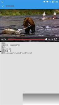 小奇最新爆料视频下载免费,揭秘视频背后的惊人真相